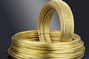 Factory For Aluminum Company - Phosphor bronze wire – Wanlutong
