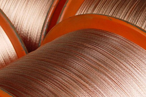 OEM/ODM China 4×8 Copper Sheet Price - Tin phosphorus copper wire – Wanlutong