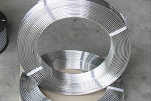 Factory Cheap Hot Copper Tube - Aluminum-magnesium alloy wire – Wanlutong