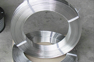 2018 wholesale price Extruded Aluminum Profiles - Aluminum-magnesium alloy wire – Wanlutong