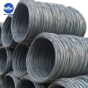 Steel wire rod