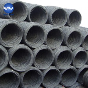 Steel wire rod