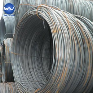 Steel wire rod