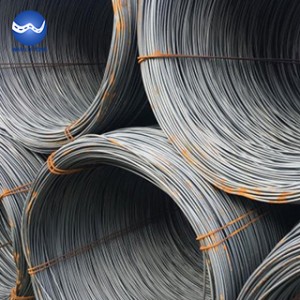 Steel wire rod