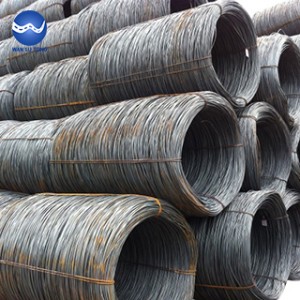 Steel wire rod