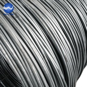 Steel wire rod