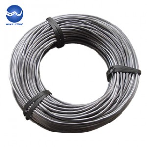 Lead wire