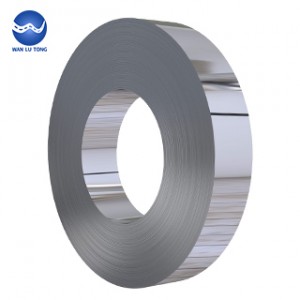 Stainless steel strip