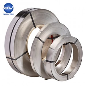 Stainless steel strip