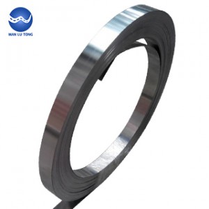 Stainless steel strip