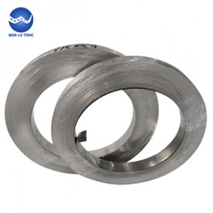 Stainless steel strip