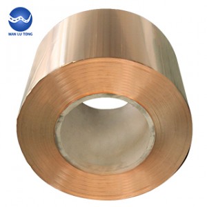 Tin bronze strip