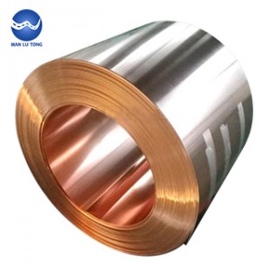 Tin phosphor bronze