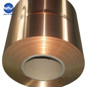 Tin phosphor bronze