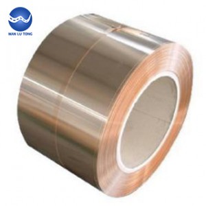 Tin phosphor bronze