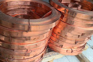 Hot sale Factory Metallurgical Machinery - Purple-red copper flat wire – Wanlutong detail pictures