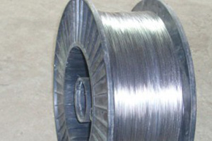 ODM Manufacturer Private Small Metal Plate - Lead wire – Wanlutong