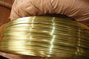 Personlized Products Thin Wall Aluminum Tube - Brass flat wire – Wanlutong detail pictures