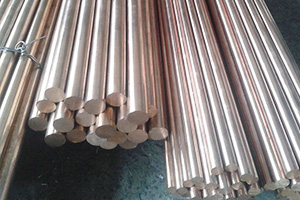 Hot New Products Brass Trinket Plate - Phosphor bronze rod – Wanlutong detail pictures