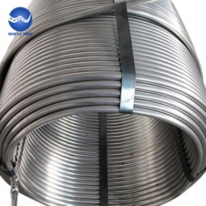 Stainless steel spiral tube